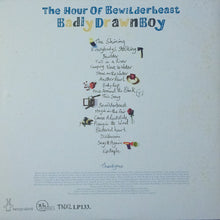 Load image into Gallery viewer, Badly Drawn Boy : The Hour Of Bewilderbeast (LP, Album)

