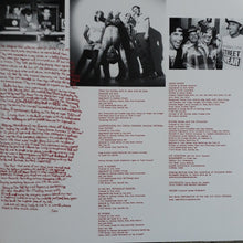 Laden Sie das Bild in den Galerie-Viewer, Red Hot Chili Peppers : Greatest Hits (2xLP, Comp, RE, Gat)
