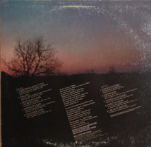 Load image into Gallery viewer, LeBlanc &amp; Carr : Midnight Light (LP, Album, RI )
