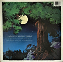 Load image into Gallery viewer, George Jones (2) : Shine On (LP, Album, Pit)
