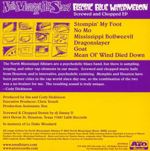 Load image into Gallery viewer, North Mississippi Allstars : Electric Blue Watermelon Screwed and Chopped EP (CD, EP, Promo)

