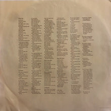 Load image into Gallery viewer, Lindsey Buckingham : Go Insane (LP, Album, All)
