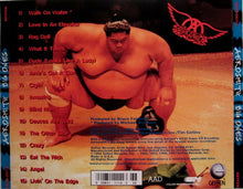 Laden Sie das Bild in den Galerie-Viewer, Aerosmith : Big Ones (CD, Comp, Club)
