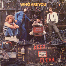 Laden Sie das Bild in den Galerie-Viewer, The Who : Who Are You (LP, Album, Pin)

