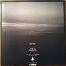 Laden Sie das Bild in den Galerie-Viewer, Jeff Tweedy : Warm (LP, Album)
