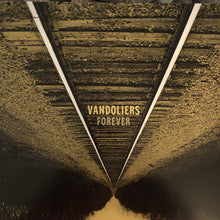 Load image into Gallery viewer, Vandoliers : Forever (LP, Album)
