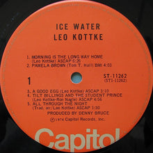 Load image into Gallery viewer, Leo Kottke : Ice Water (LP, Album)
