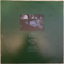 Load image into Gallery viewer, Dan Fogelberg : Home Free (LP, Album, Ter)
