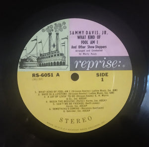 Sammy Davis Jr. : Sammy Davis Jr Sings What Kind Of Fool Am I (And Other Show-Stoppers) (LP, Album)
