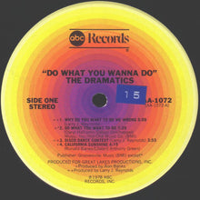 Load image into Gallery viewer, The Dramatics : Do What You Wanna Do (LP, Album)
