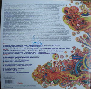 Various : Nuggets: Original Artyfacts From The First Psychedelic Era 1965-1968 (2xLP, Comp, RE, 140)