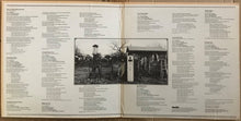 Load image into Gallery viewer, B. W. Stevenson* : B. W. Stevenson (LP, Album, Hol)
