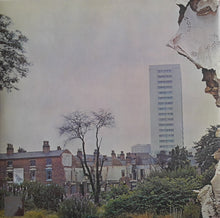 Laden Sie das Bild in den Galerie-Viewer, Led Zeppelin : Untitled  (LP, Album, RE, RM, 180)
