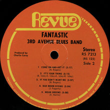 Load image into Gallery viewer, 3rd Avenue Blues Band* : Fantastic (LP, Album)
