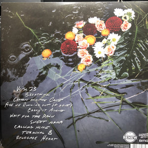Amy Helm : What The Flood Leaves Behind (LP, Album, Bla)