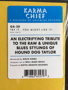 GA-20 : GA-20 Does Hound Dog Taylor: Try It...You Might Like It! (LP, Album)