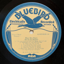 Load image into Gallery viewer, The Blue Sky Boys* : The Blue Sky Boys (2xLP, Comp)
