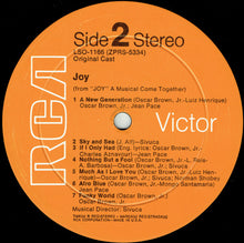 Load image into Gallery viewer, Oscar Brown Jr. / Jean Pace / Sivuca : Joy (LP, Album)
