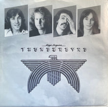 Load image into Gallery viewer, Roger McGuinn : Thunderbyrd (LP, Album, Pit)
