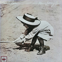 Load image into Gallery viewer, Phoebe Snow : Never Letting Go (LP, Album, Pit)
