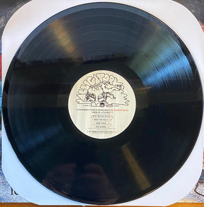 Elvin Bishop & Charlie Musselwhite : 100 Years Of Blues (LP, Album)