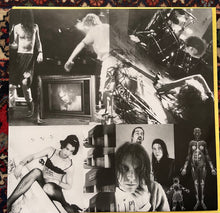 Laden Sie das Bild in den Galerie-Viewer, Nirvana : In Utero (LP, Album)
