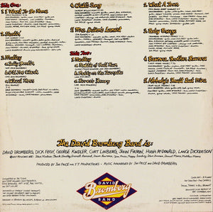 The David Bromberg Band* : Reckless Abandon (LP, Album)