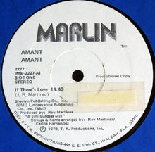 Load image into Gallery viewer, Amant : Amant (LP, Album, Promo)
