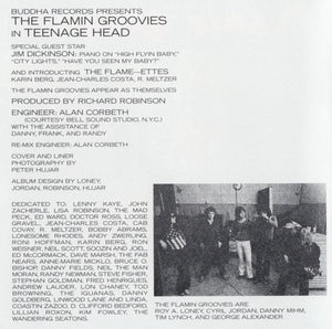 Flamin Groovies* : Teenage Head (CD, Album, RE)