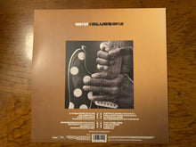 Laden Sie das Bild in den Galerie-Viewer, Buddy Guy : The Blues Don&#39;t Lie (2xLP, Album)
