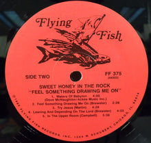 Laden Sie das Bild in den Galerie-Viewer, Sweet Honey In The Rock : Feel Something Drawing Me On (LP, Album)
