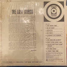 Load image into Gallery viewer, The Last Words (2) : The Last Words (LP, Album, MO-)
