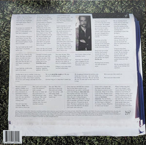 Robert Ellis (2) : Yesterday's News (LP, Album)