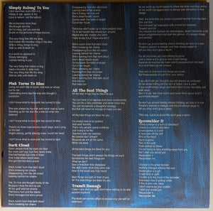 Shinyribs : Transit Damage (LP, Album)