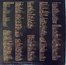 Laden Sie das Bild in den Galerie-Viewer, Dan Fogelberg : Souvenirs (LP, Album, RE, Gat)
