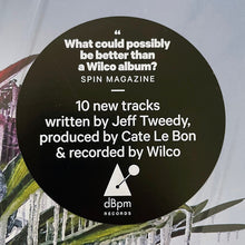 Laden Sie das Bild in den Galerie-Viewer, Wilco : Cousin (LP, Album)
