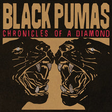 Charger l&#39;image dans la galerie, Black Pumas : Chronicles Of A Diamond (CD, Album)

