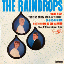 Load image into Gallery viewer, The Raindrops : The Raindrops (LP, Album, Mono)
