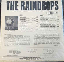 Laden Sie das Bild in den Galerie-Viewer, The Raindrops : The Raindrops (LP, Album, Mono)
