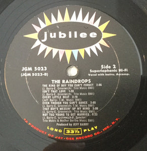 The Raindrops : The Raindrops (LP, Album, Mono)