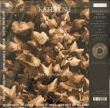 Laden Sie das Bild in den Galerie-Viewer, Kate Bush : The Dreaming (LP, Album, RE, RM, 180)
