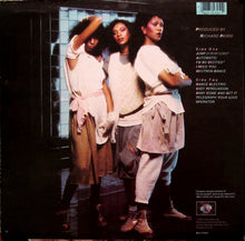 Load image into Gallery viewer, Pointer Sisters : Break Out (LP, Album, RP, Ind)
