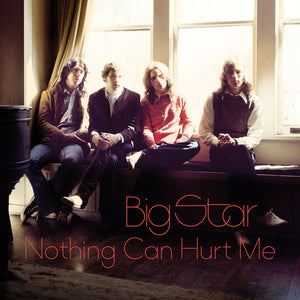 Big Star : Nothing Can Hurt Me (2xLP, Comp)