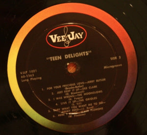 Various : Teen Delights  (LP, Comp, Mono)