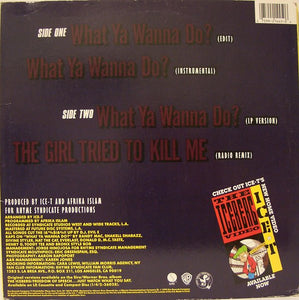 Ice-T : What Ya Wanna Do? (12", Maxi)