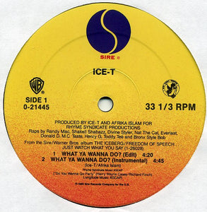 Ice-T : What Ya Wanna Do? (12", Maxi)