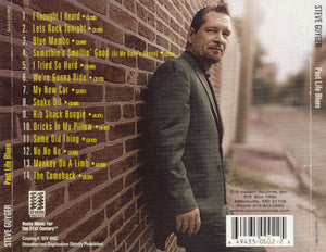 Steve Guyger : Past Life Blues (CD, Album)