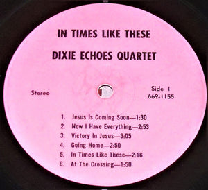 The Dixie Echoes : In Times Like These  (LP, Album)