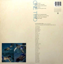 Load image into Gallery viewer, Michael Franks : Skin Dive (LP, Album, Spe)
