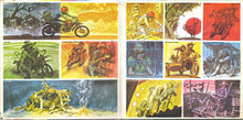 Charger l&#39;image dans la galerie, Sailcat : Motorcycle Mama (LP, Album, Gat)
